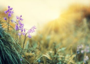 Blue light for depression