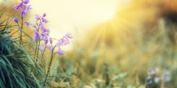 Blue light for depression